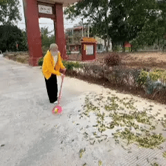 NOVA PRO® – Ultralichte en krachtige bladblazer